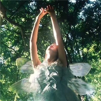 浪漫医生金师傅